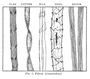 Fabric Fibres Longitudinal